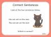 How Words Make Sentences - KS1 Teaching Resources (slide 5/18)
